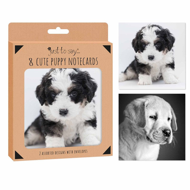 Puppies Notecards - 8 Pack Cute Cat Blank Greeting Cards Stationery Pet Lovers