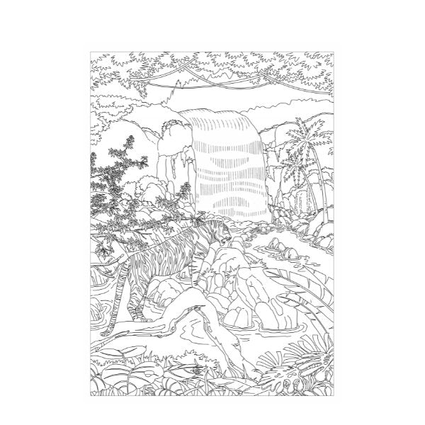 A4 Life in The Jungle Advanced Colouring Book - 22 Pages