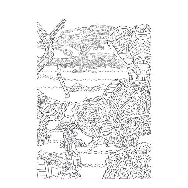 A4 Life on The Savannah Advanced Colouring Book