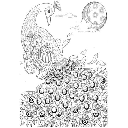 A4 Animals & Birds Adult Colouring Book - Assorted