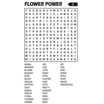 Travel Size Word Search Book - Assorted