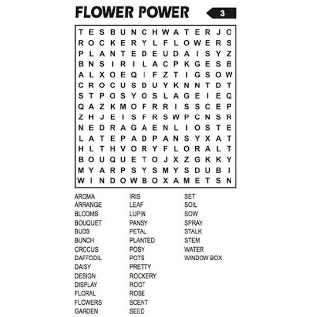 Travel Size Word Search Book - Assorted