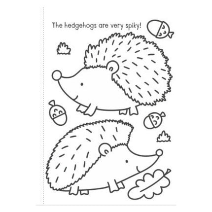 A4 My First Animal Things That Go Colouring Book - Assorted