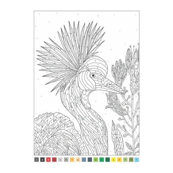 A4 Animals Nature Advanced Colour by Numbers Book - Assorted