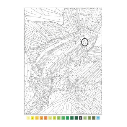 A4 Animals Nature Advanced Colour by Numbers Book - Assorted