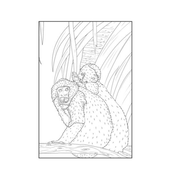 A4 Life in The Jungle Advanced Colouring Book - 22 Pages