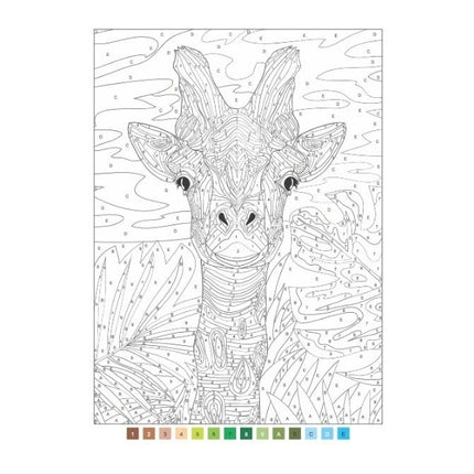 A4 Animals Nature Advanced Colour by Numbers Book - Assorted