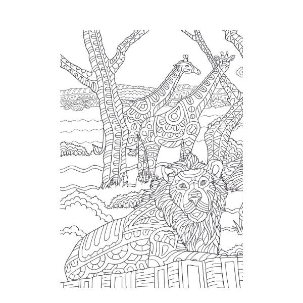 A4 Life On The Savannah Advanced Colouring Book - Wildlife High Quality Relaxing