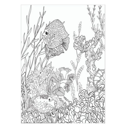 A4 Advanced Colouring Book - Assorted