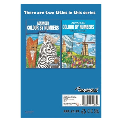 A4 Animals Nature Advanced Colour by Numbers Book - Assorted
