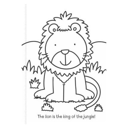 A4 My First Animal Things That Go Colouring Book - Assorted