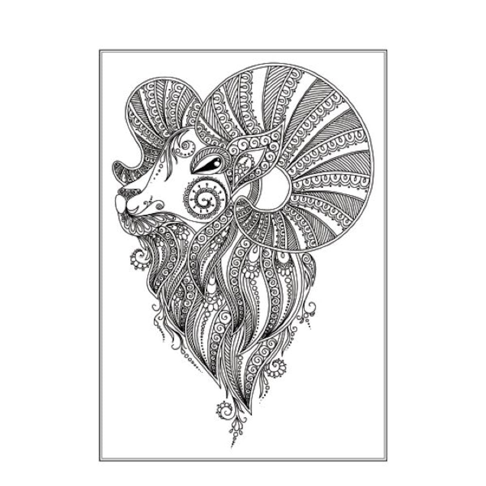 A4 Animals Underwater Colouring Book - Assorted Beautiful Marine Life High Quality