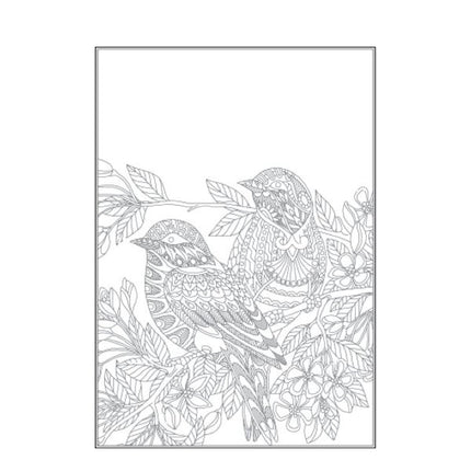 A4 Beautiful Butterflies Birds Colouring Book - Assorted
