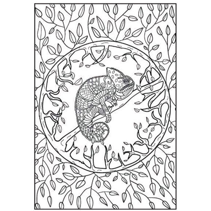 A4 Peaceful Advanced Colouring Book