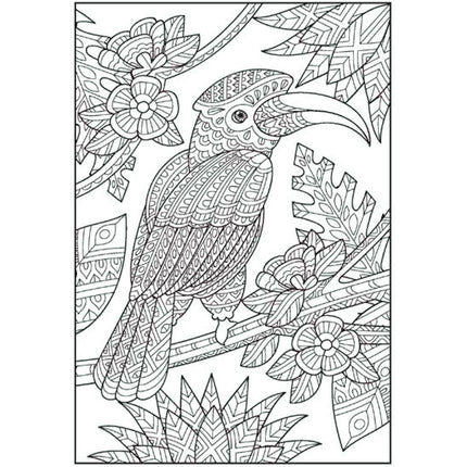 A4 Patterns In Nature Advanced Colouring Book