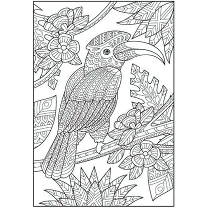 Patterns In Nature Advanced A4 Colouring Book