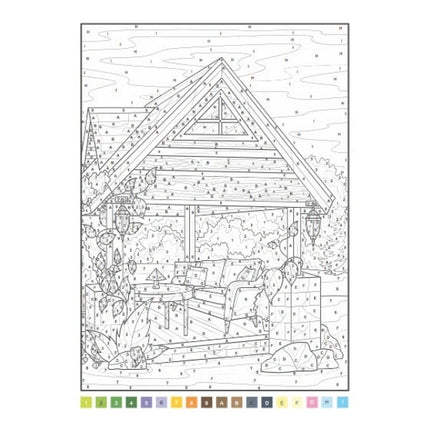 A4 Animals Nature Advanced Colour by Numbers Book - Assorted