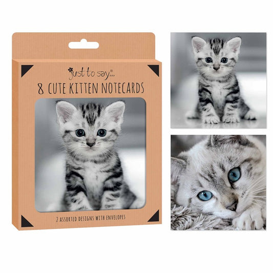 Kittens Notecards - 8 Pack
