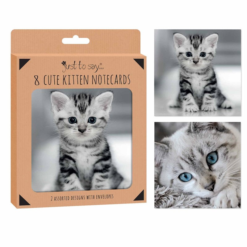 Kittens Notecards - 8 Pack Cute Cat Blank Greeting Cards Stationery Pet Lovers