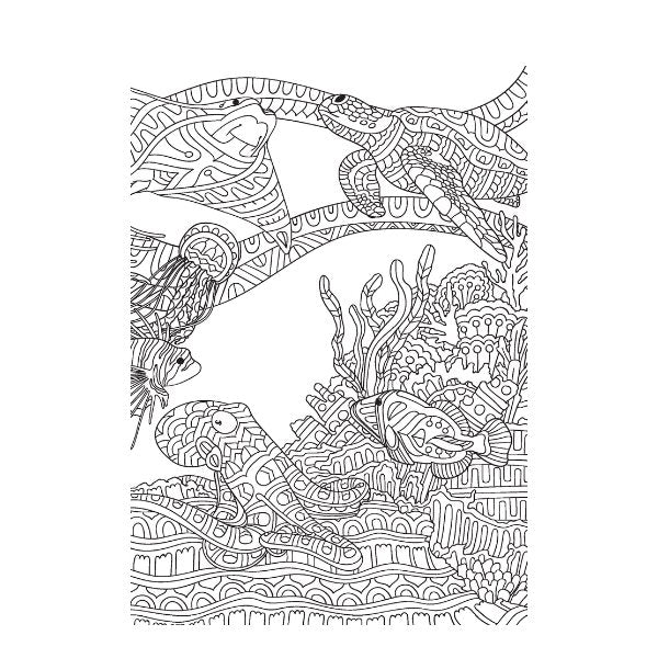 A4 Life in The Ocean Advanced Colouring Book - 22 Pages